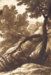 Wooded Landscape